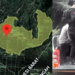LP.K-P-K SULBAR Ungkap Dugaan Pelanggaran Berat PT. Pasangkayu Sudah Puluhan Tahun Tanam Sawit di Luar HGU
